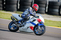 PJ-Motorsport-2019;anglesey-no-limits-trackday;anglesey-photographs;anglesey-trackday-photographs;enduro-digital-images;event-digital-images;eventdigitalimages;no-limits-trackdays;peter-wileman-photography;racing-digital-images;trac-mon;trackday-digital-images;trackday-photos;ty-croes